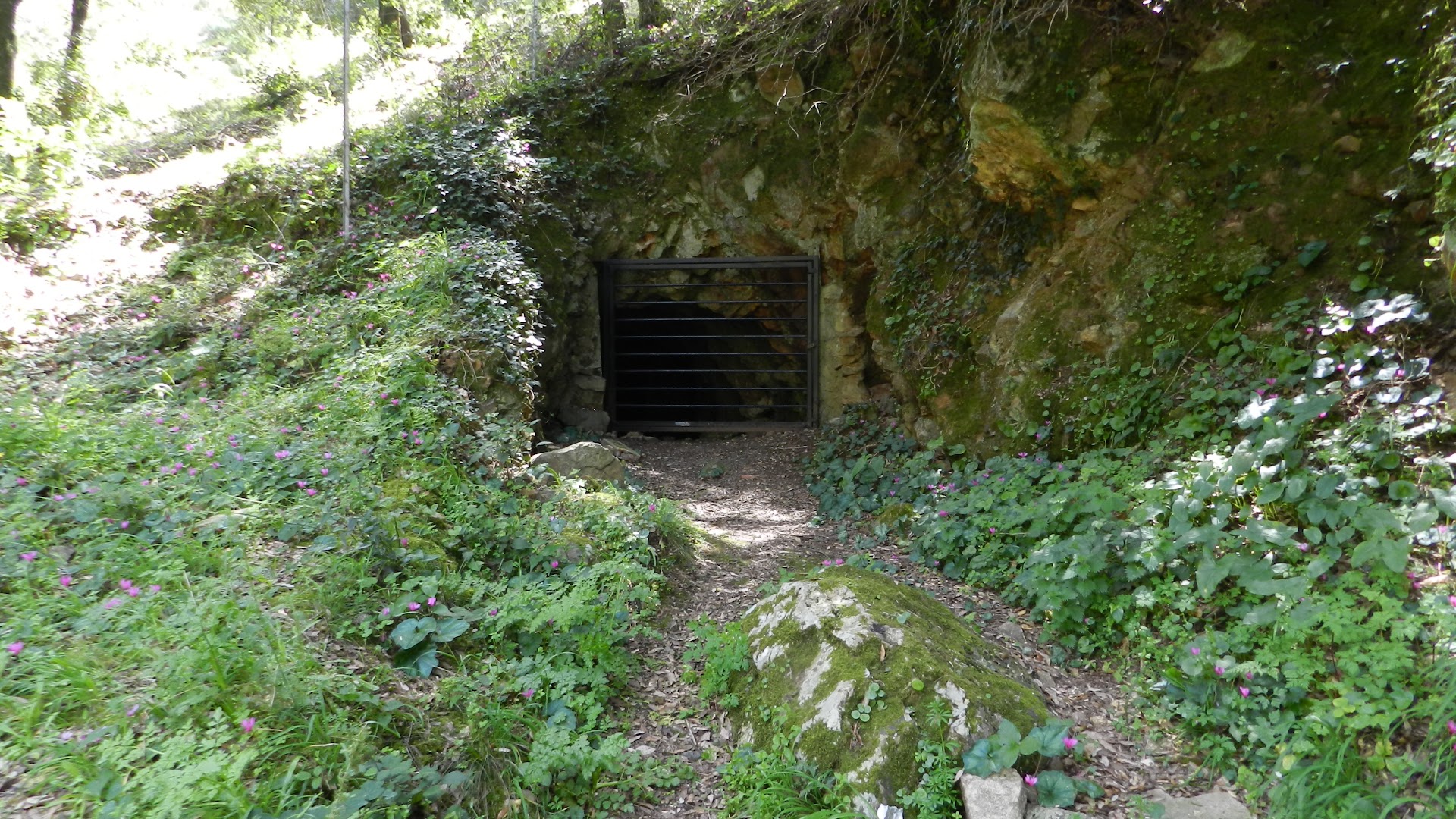 Parco Comunale Perd'e Pibera