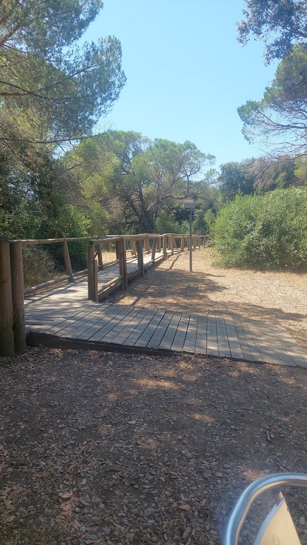 Parco costiero di Rimigliano ACCESSO 10, Piombino