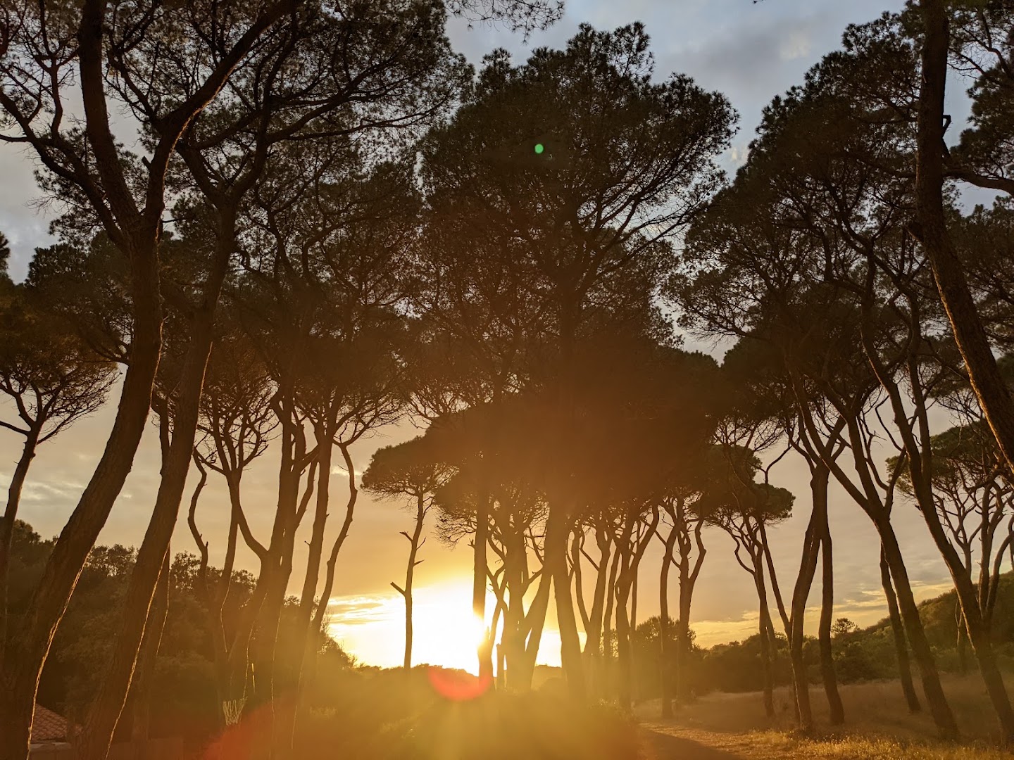 Parco Costiero di Rimigliano
