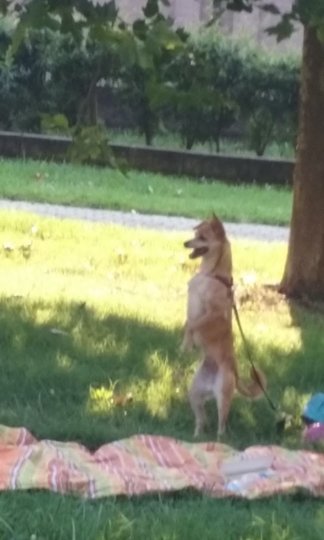 Parco Croce Rossa