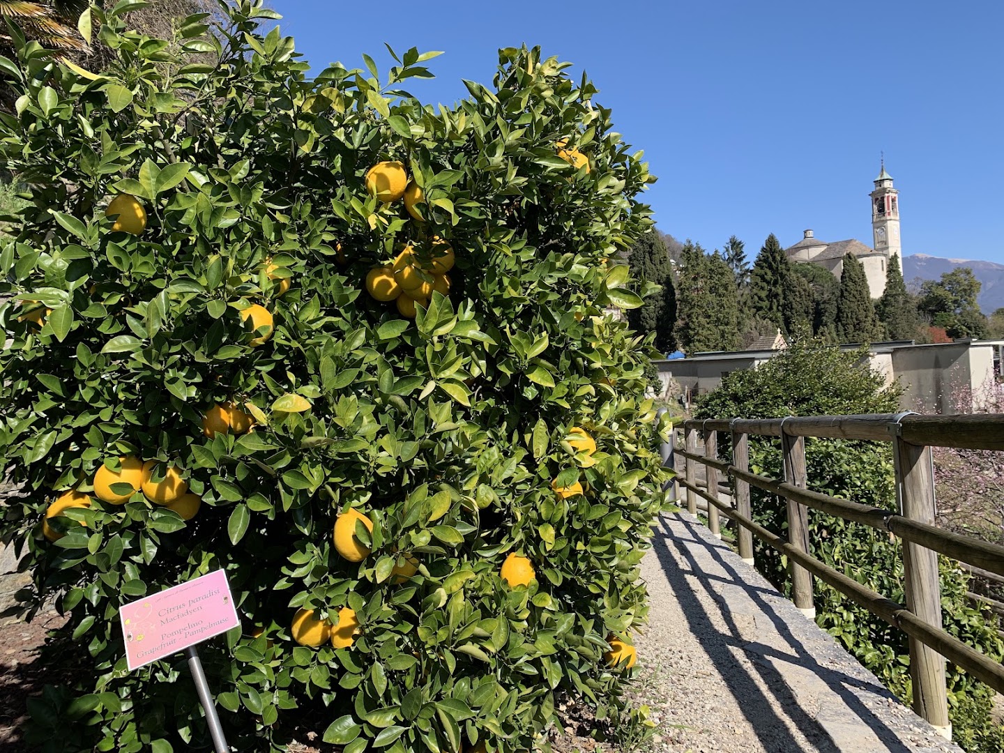 Parco Degli Agrumi