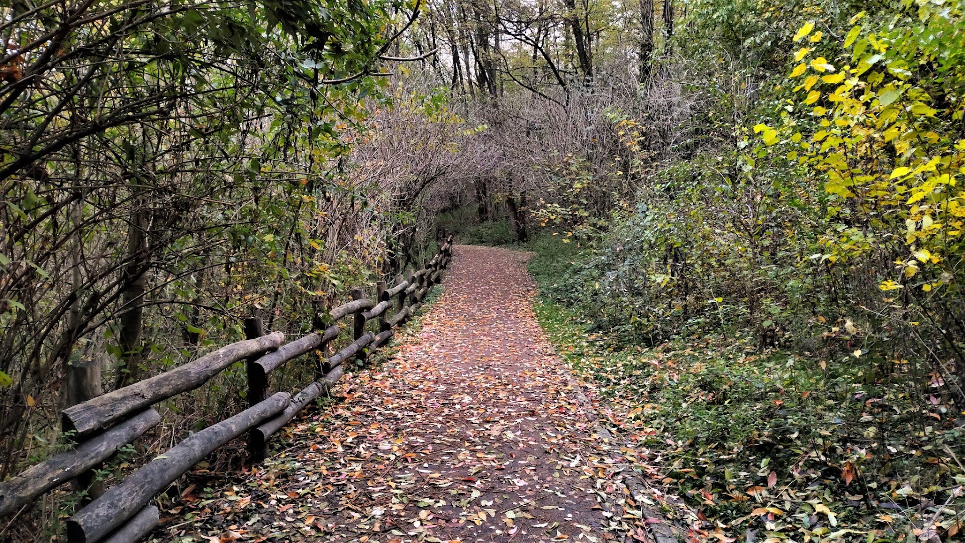 Parco degli aironi