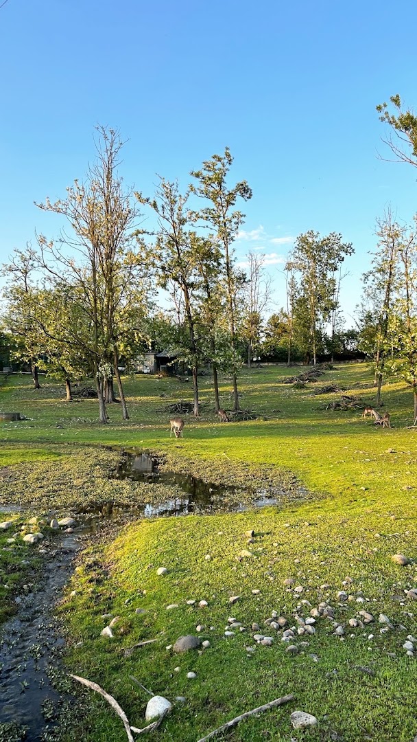 Parco degli aironi