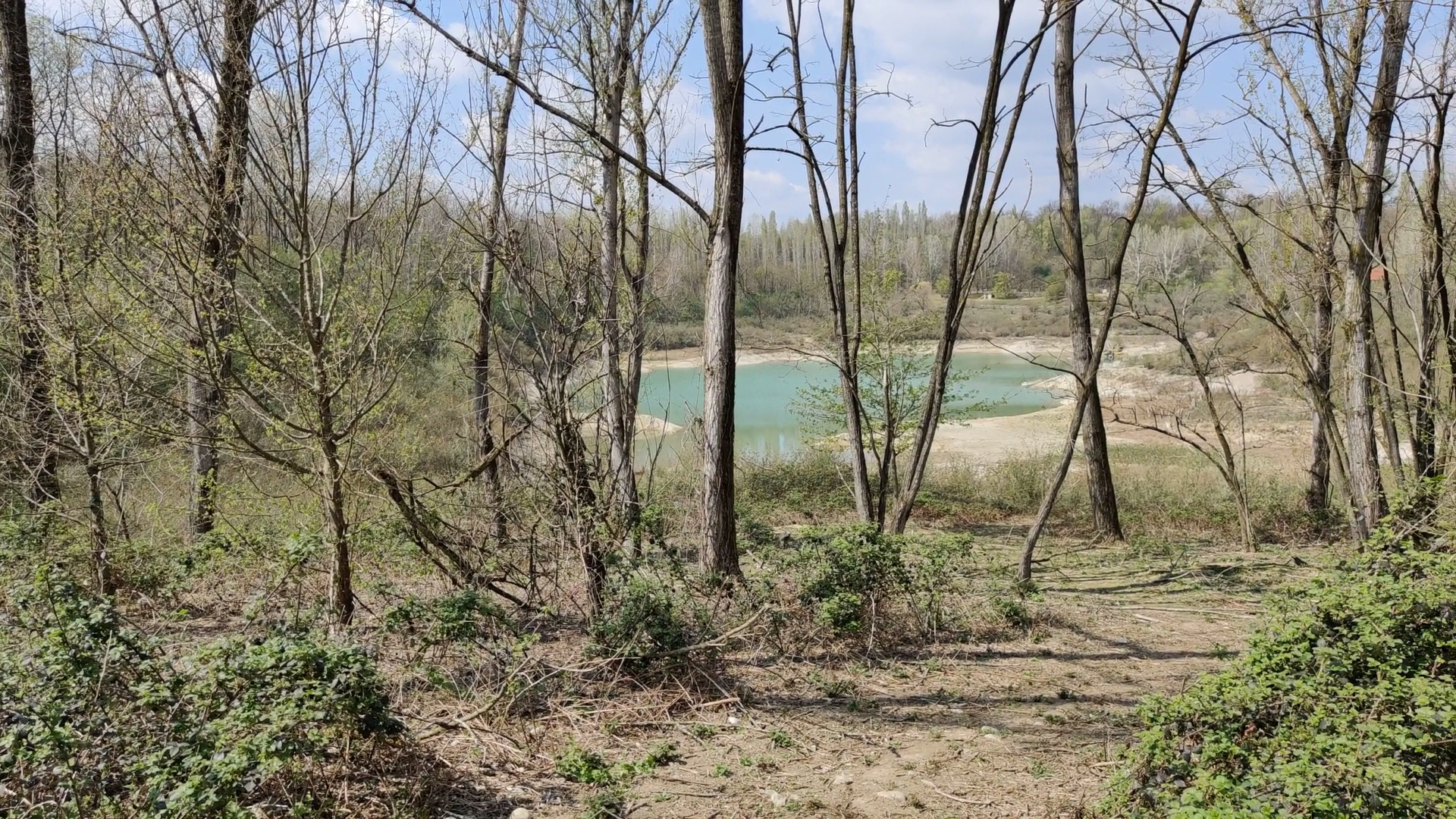 Parco degli aironi
