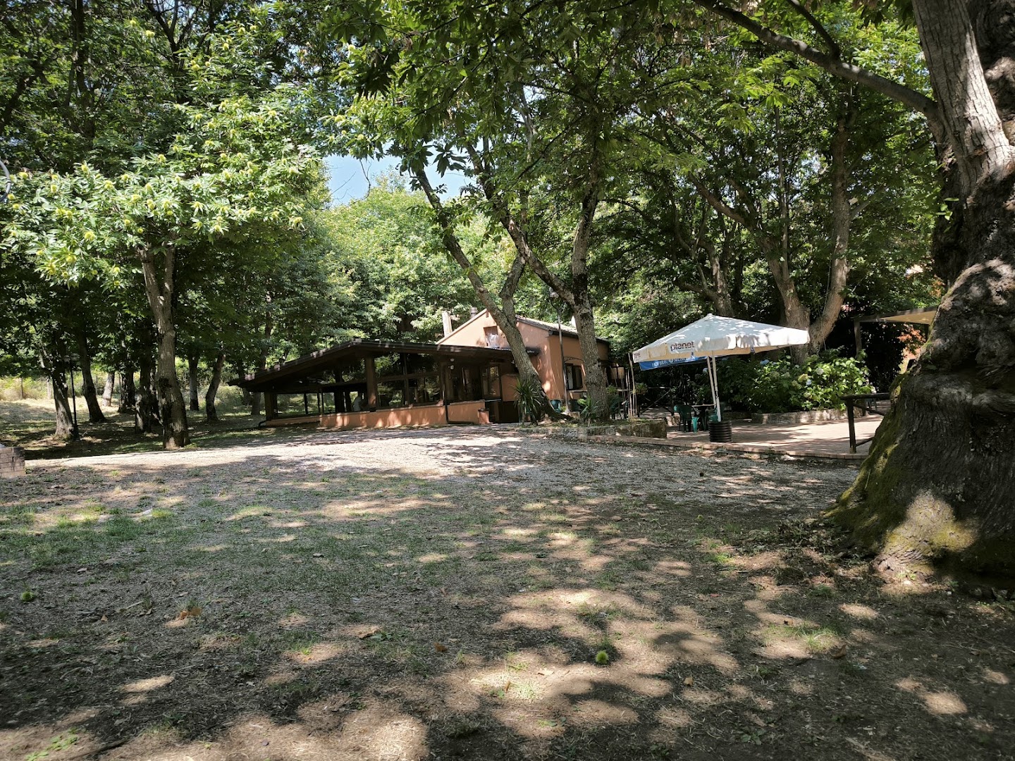 Parco dei castagni, Roccadaspide