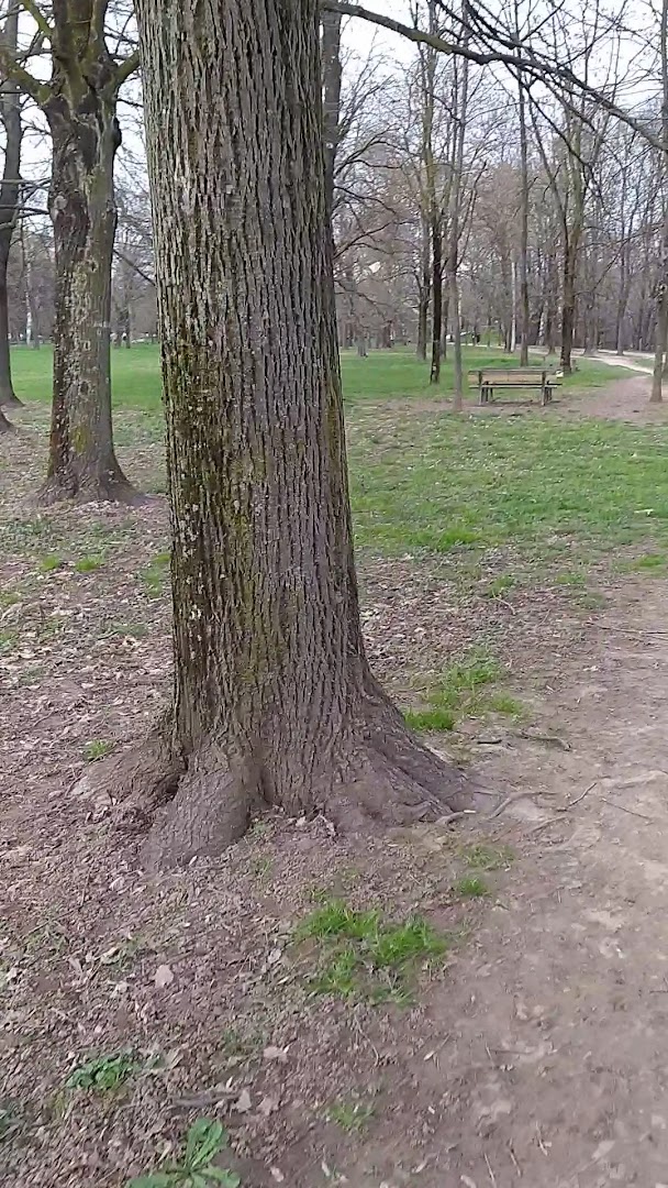 Parco dei Cedri, Bologna