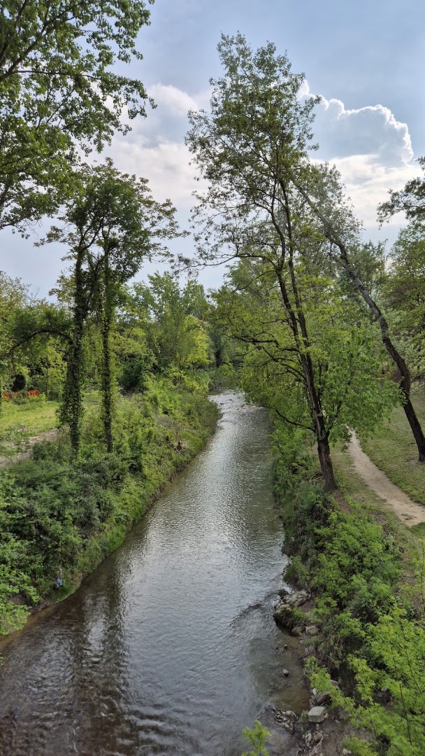 Parco dei Cedri