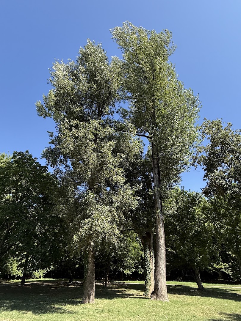 Parco dei Faggi, Padova