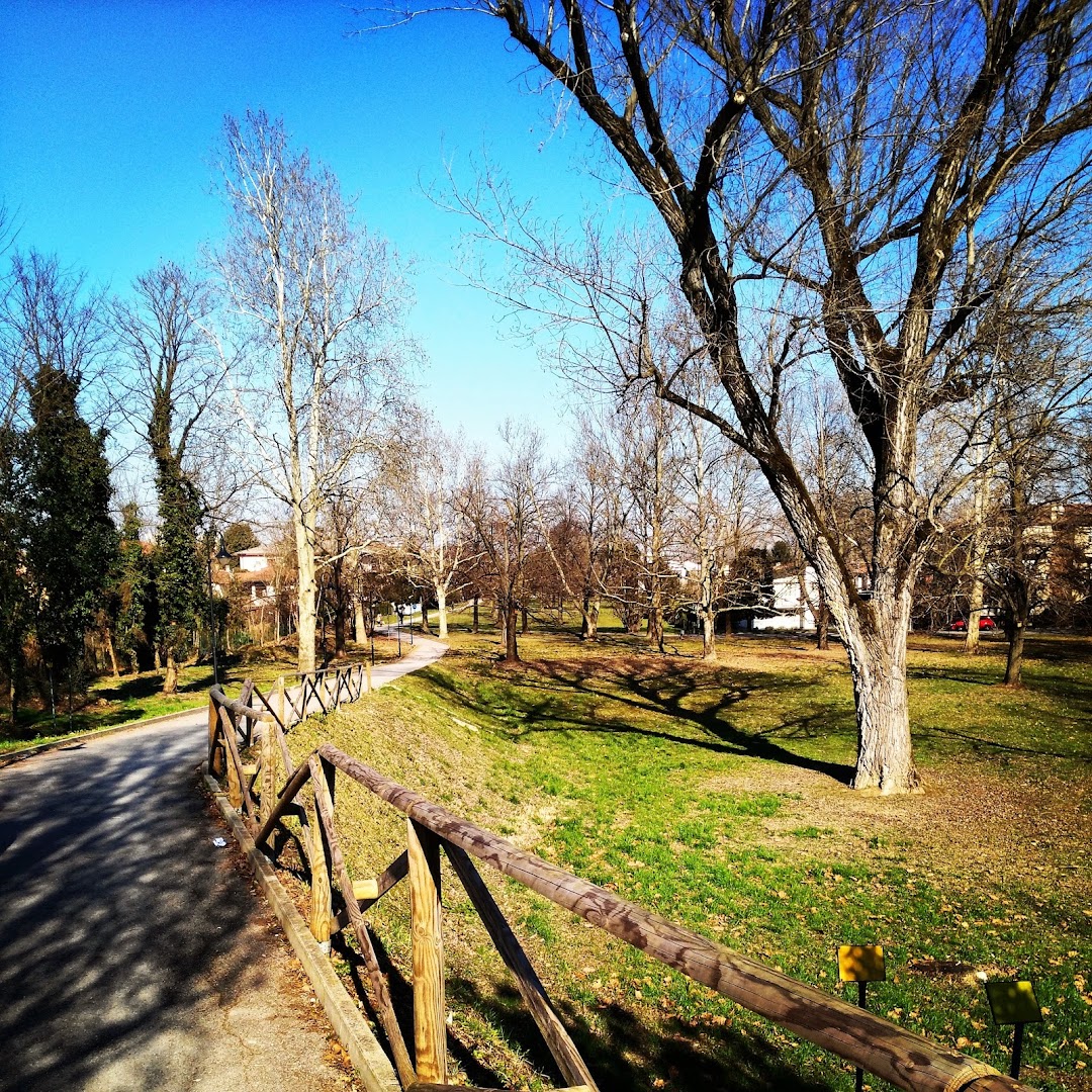 Parco dei Faggi