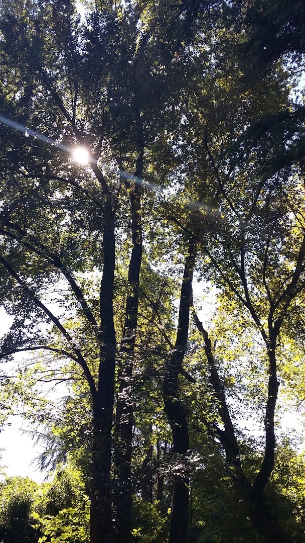 Parco dei Faggi
