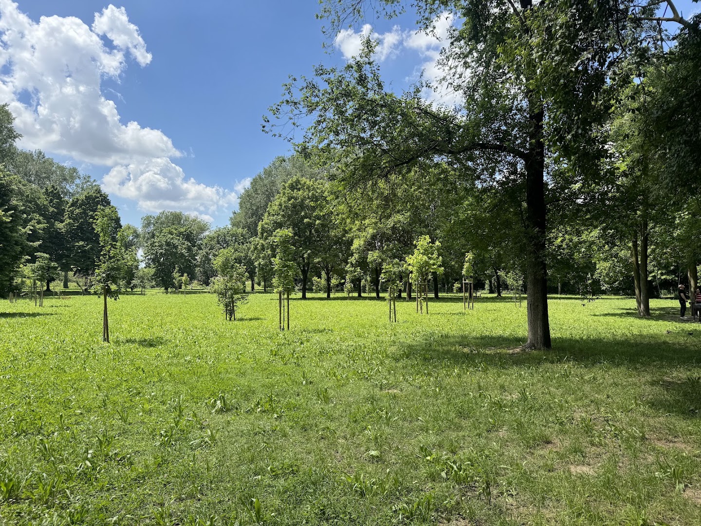 Parco dei Faggi