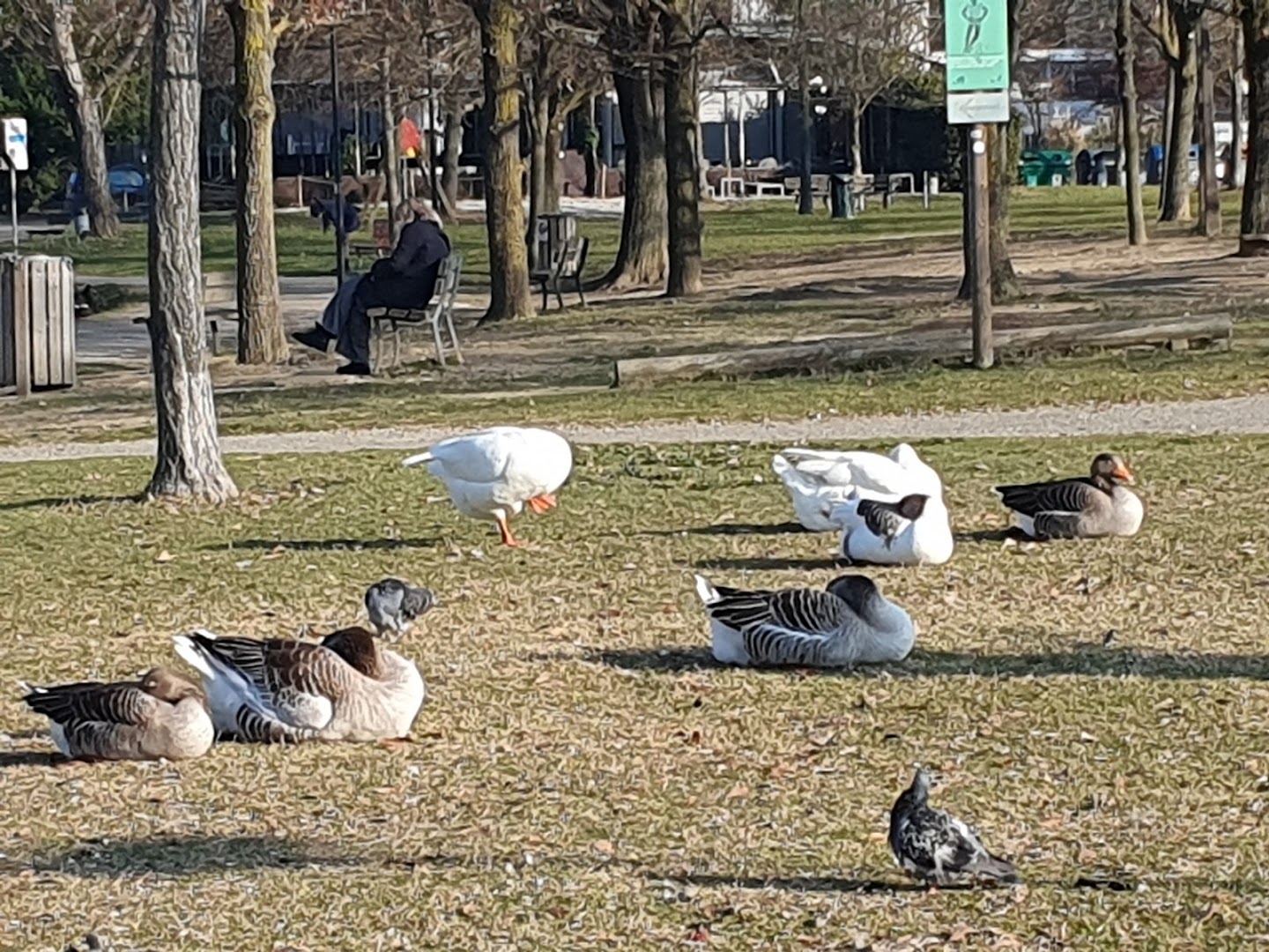 Parco dei Giardini della Ca Bura