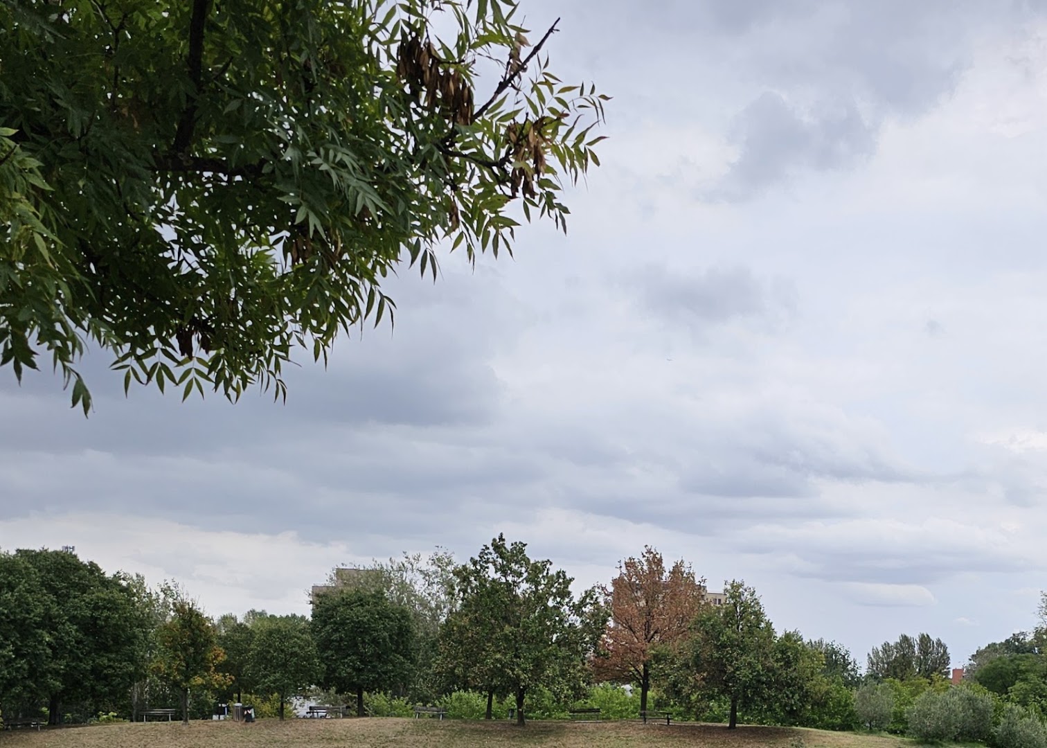 Parco dei Giardini della Ca Bura