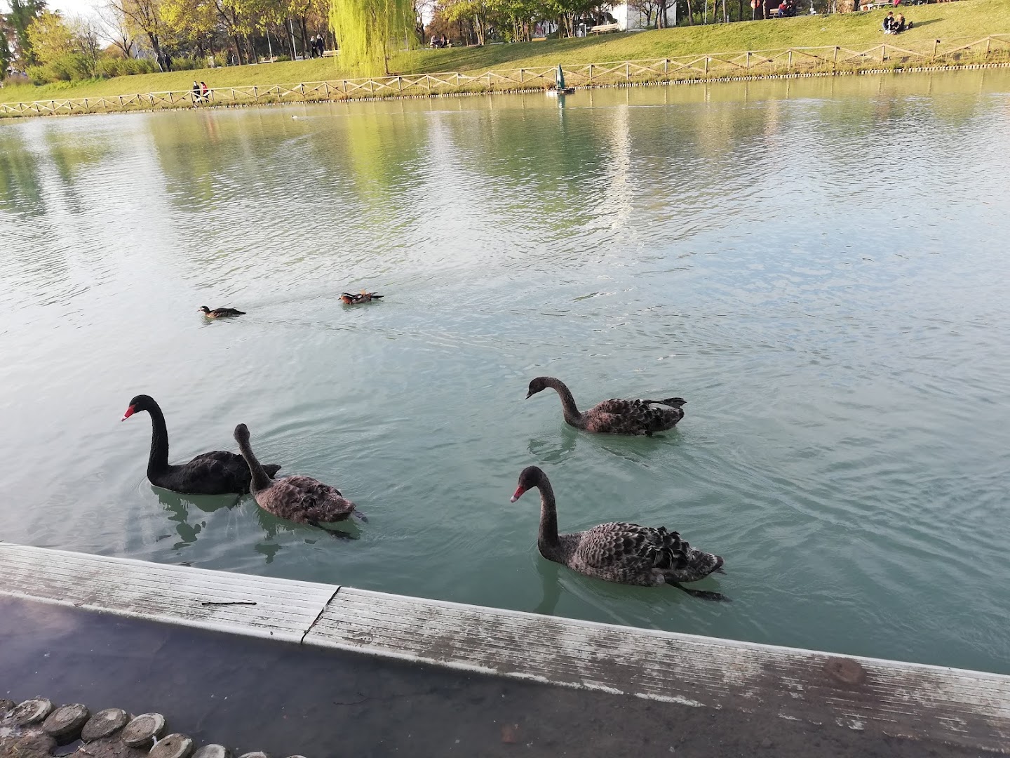 Parco dei Giardini di via dell'Arcoveggio, Bologna