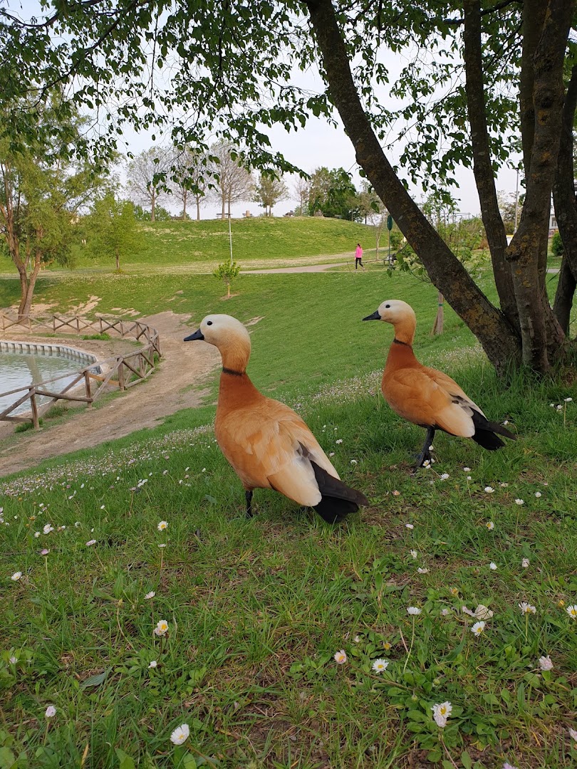 Parco dei Giardini di via dell'Arcoveggio