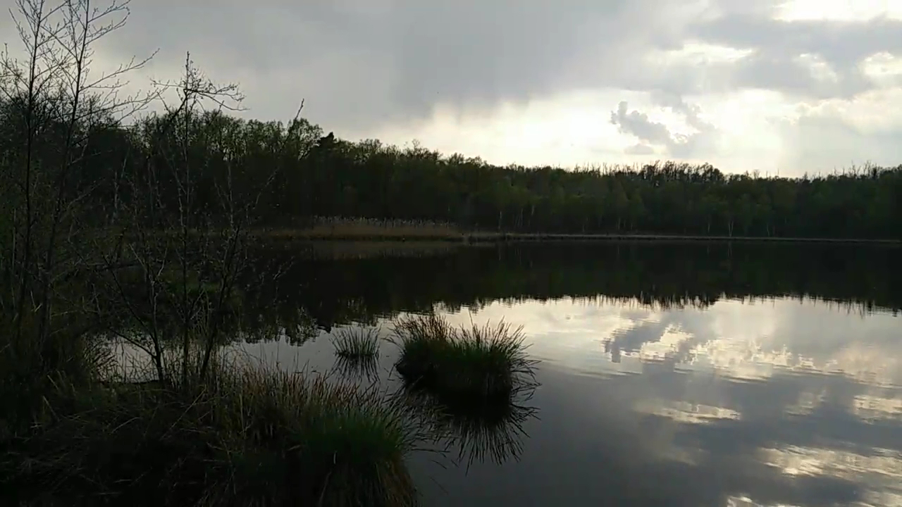 Parco dei Lagoni di Mercurago, Arona
