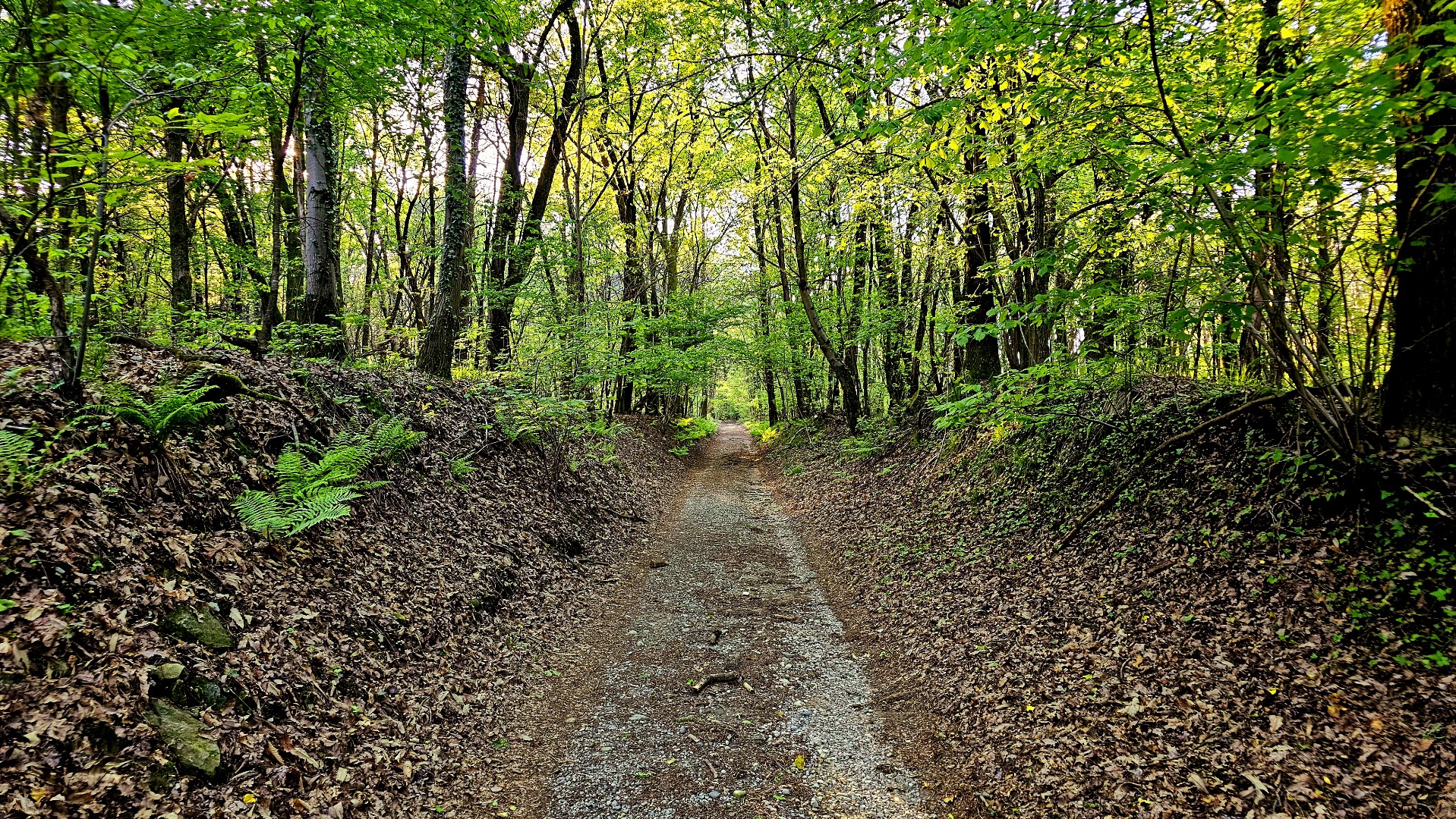 Parco dei Lagoni di Mercurago