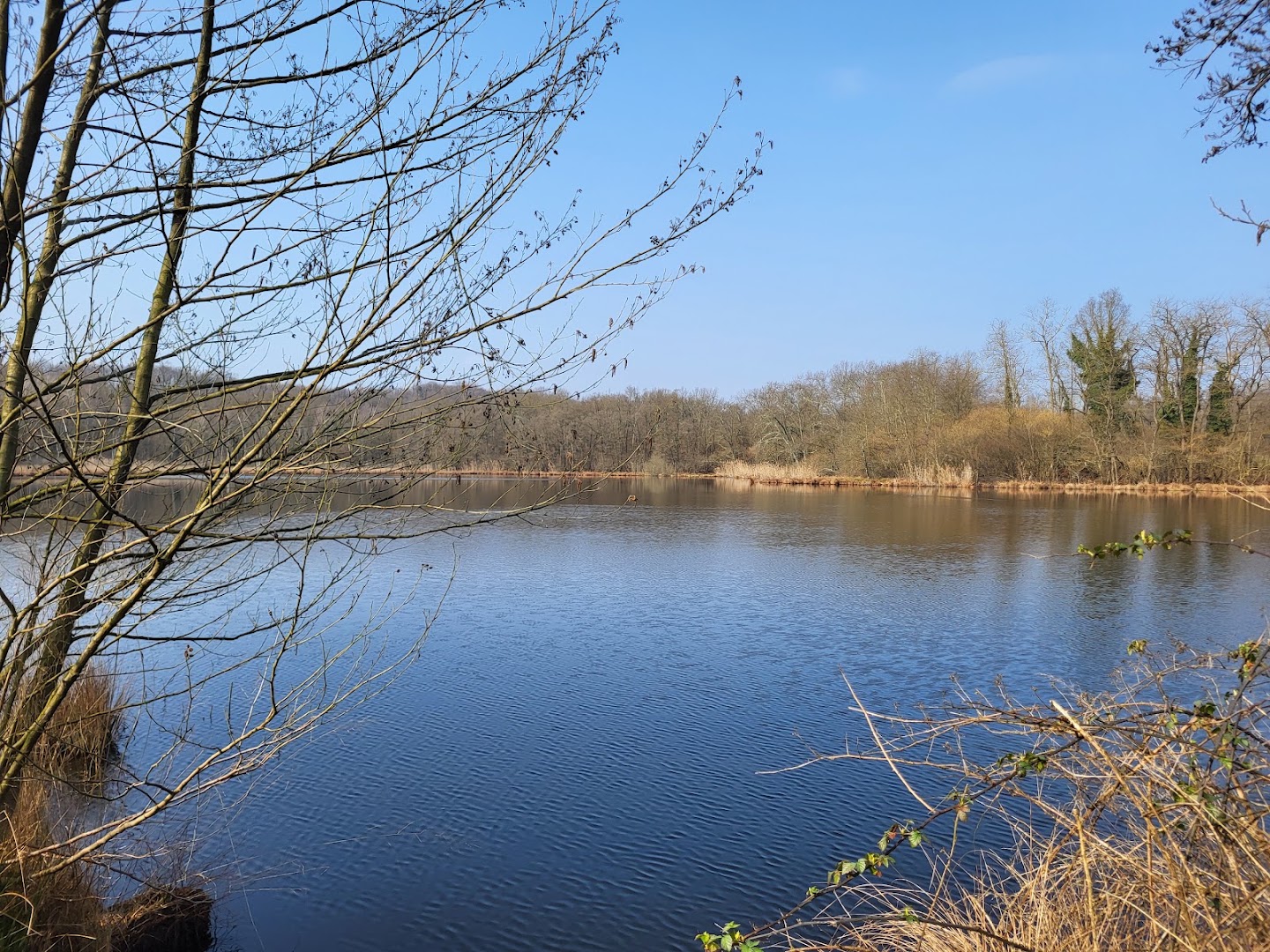 Parco dei Lagoni di Mercurago