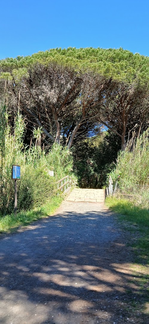 Parco dei Pini, Roma