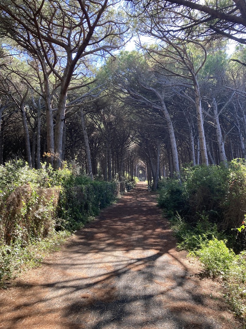 Parco dei Pini