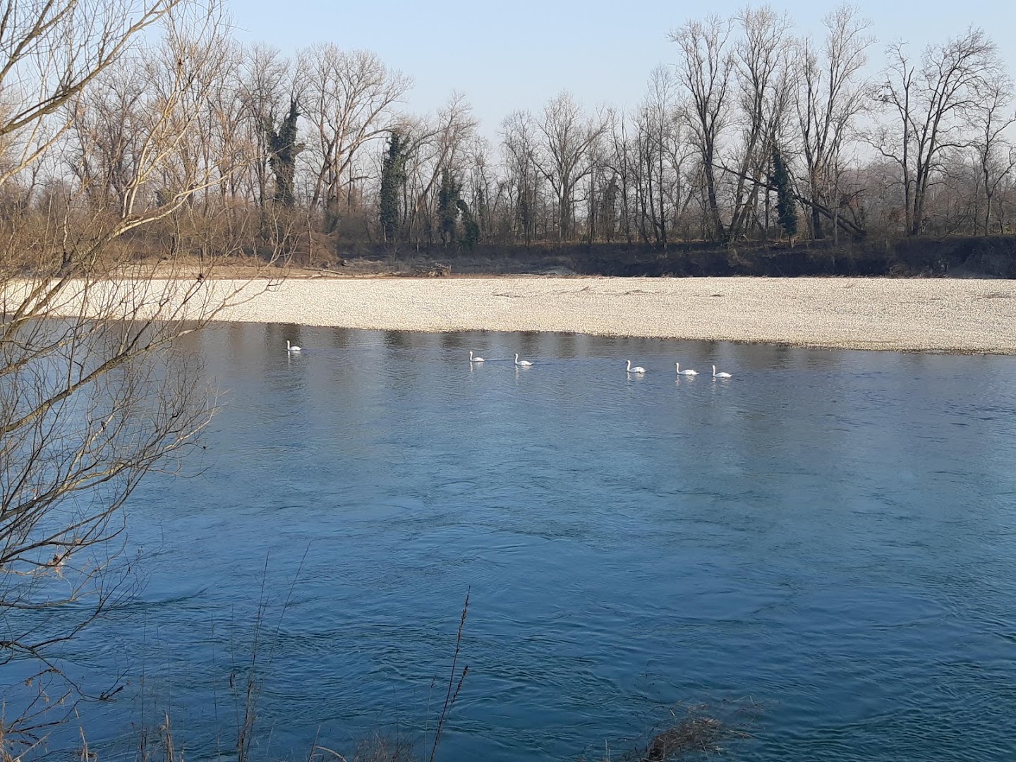 Parco del Belgiardino