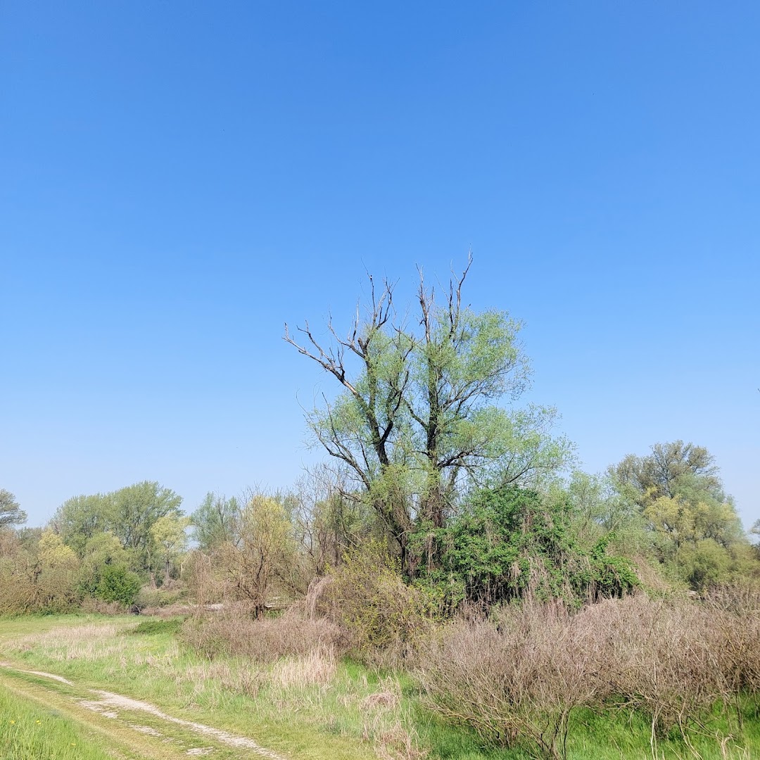 Parco del Belgiardino