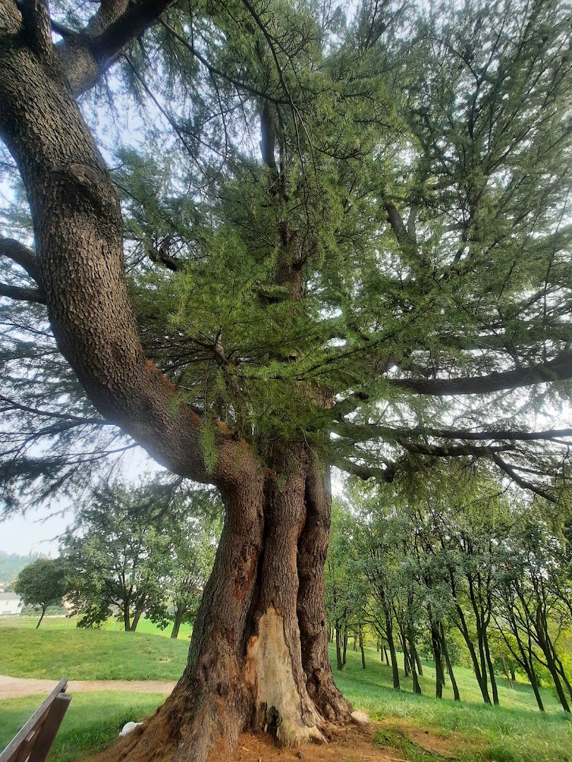 Parco del Cjastenar