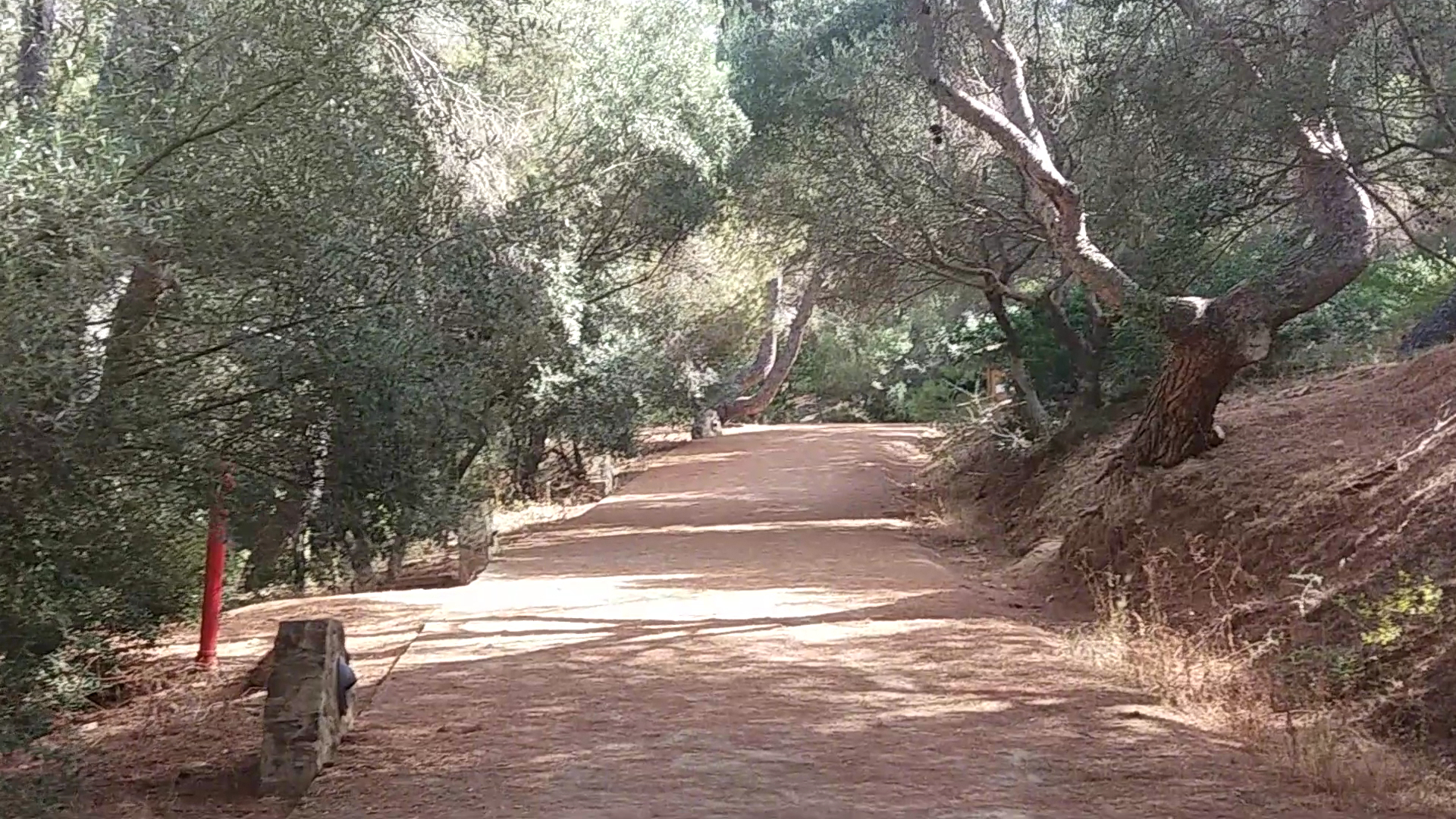 Parco del Colle Rosmarino, Carbonia