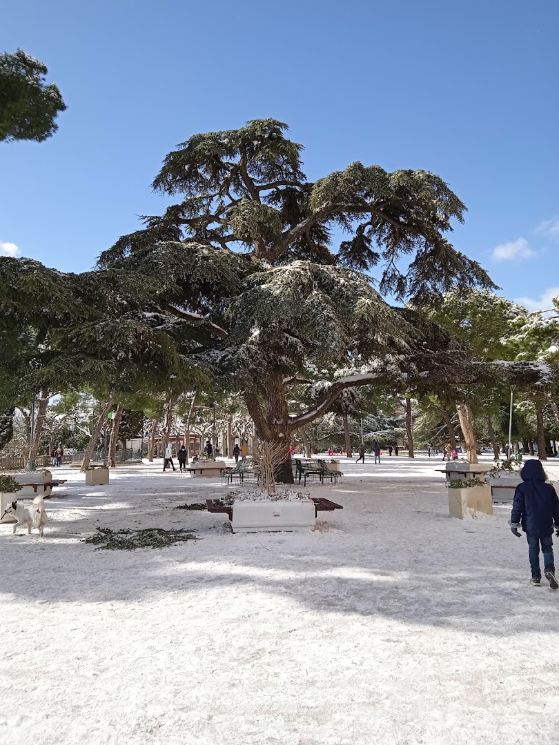 Parco del Girfalco
