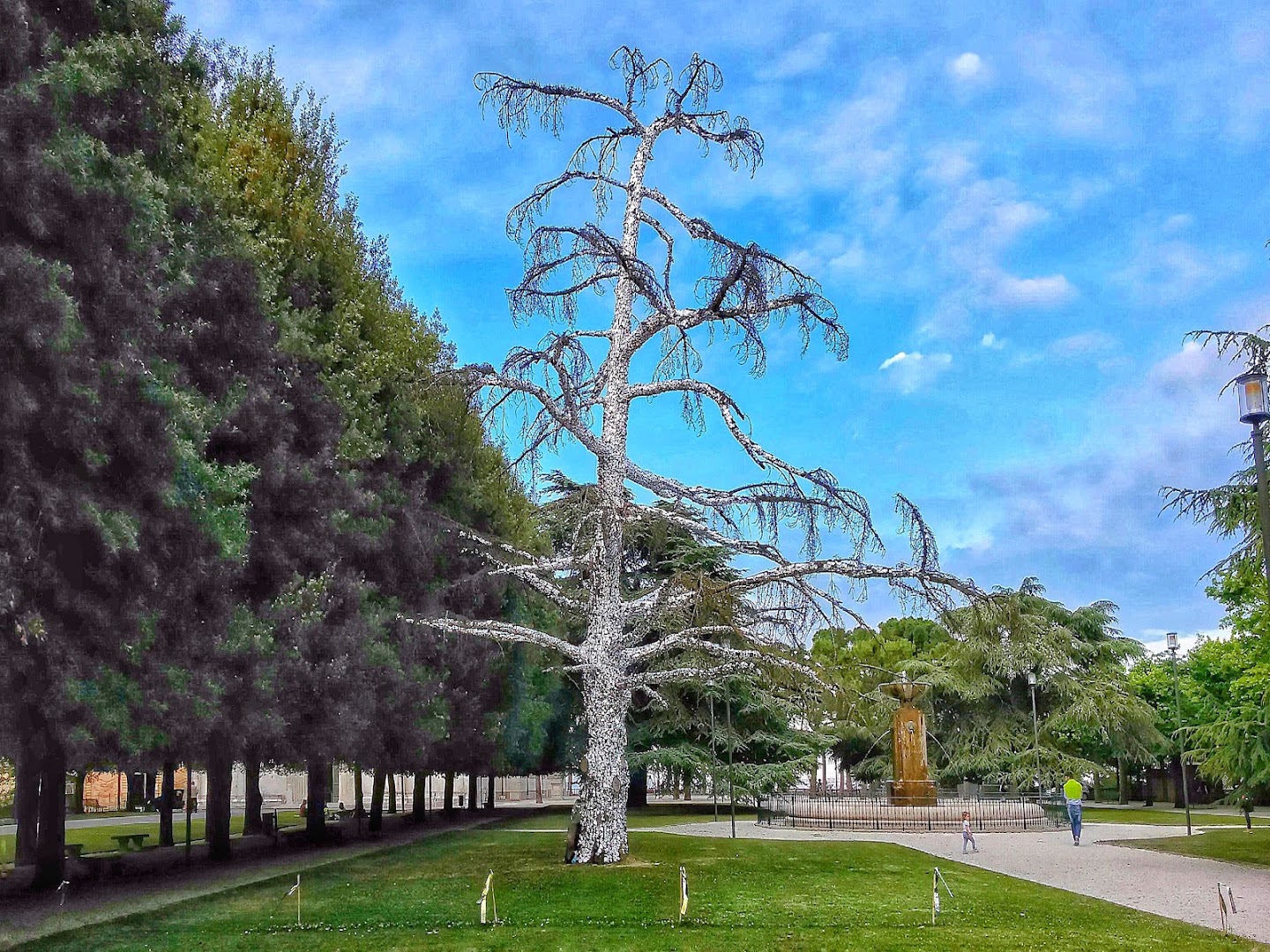 Parco del Girfalco