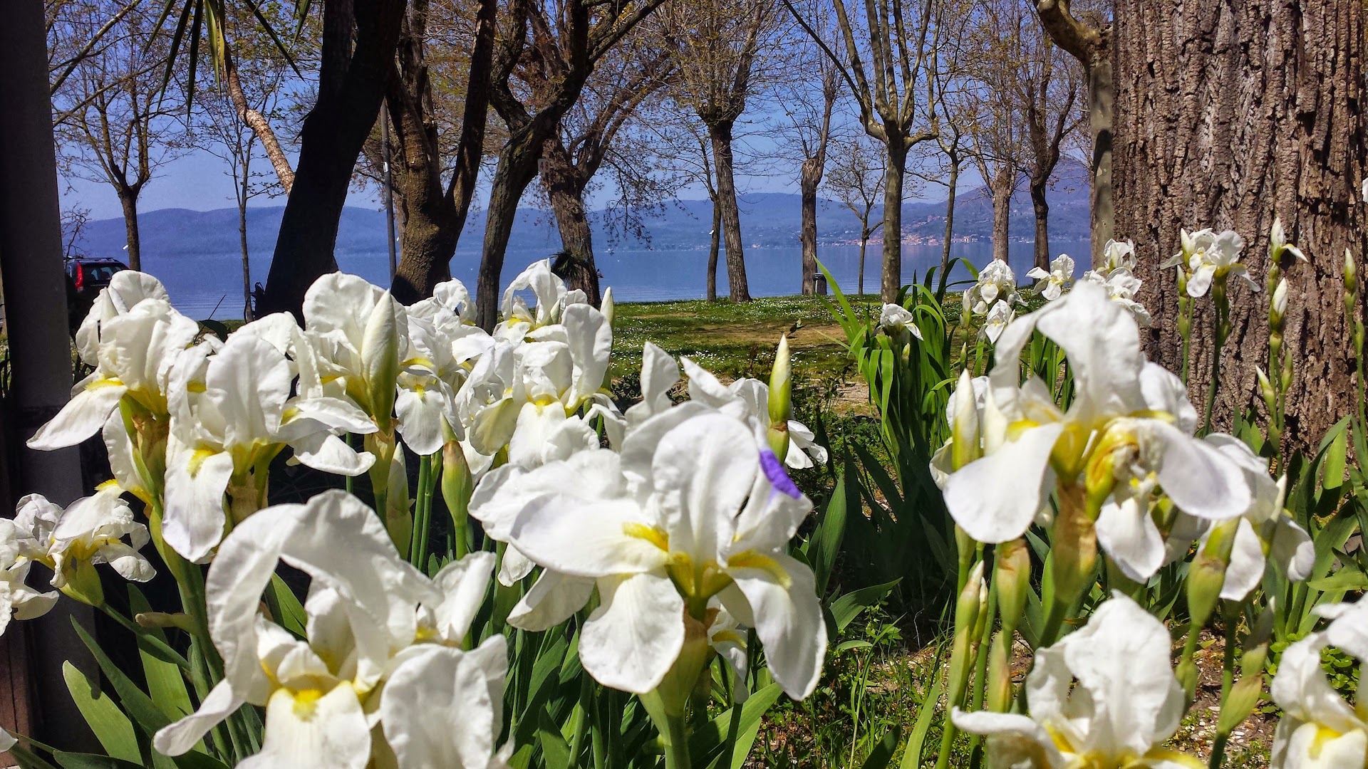 Parco del Lago Glamping & Lodges