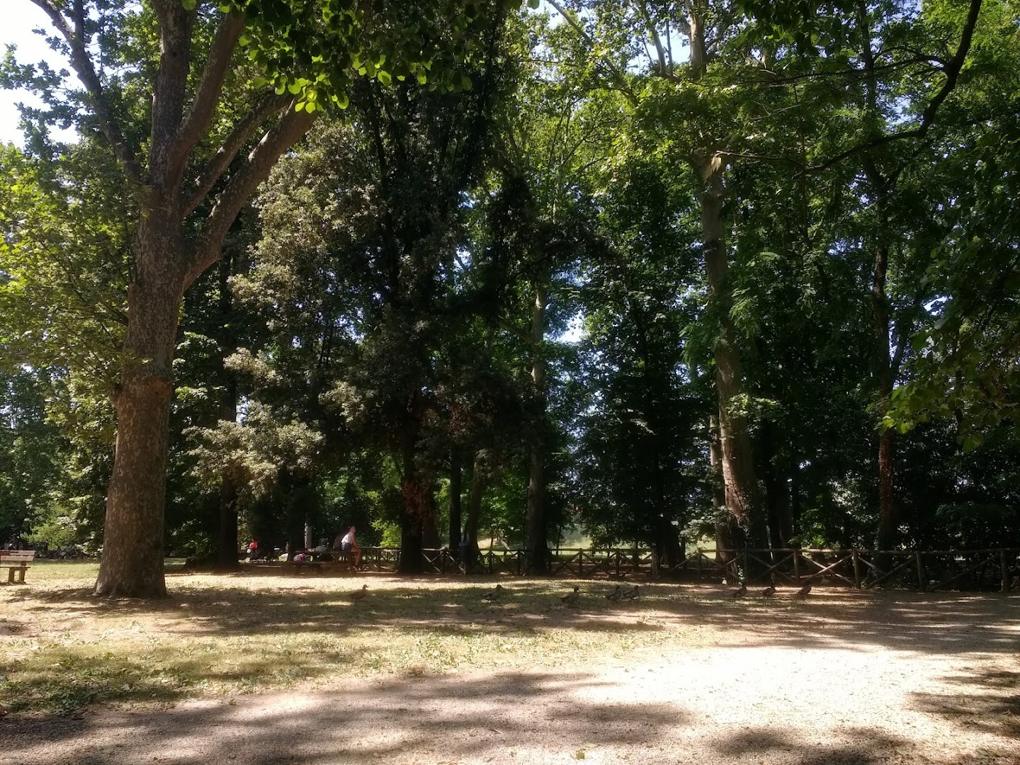 Parco del Neto, Calenzano