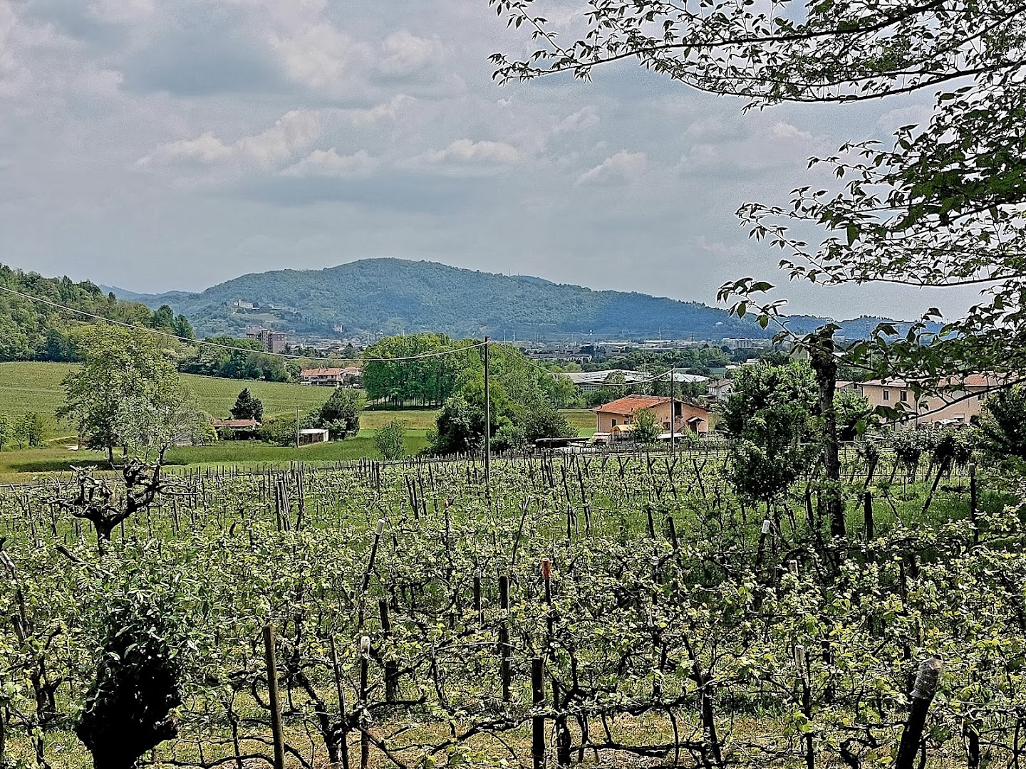 Parco del Tomenone, Bagnatica