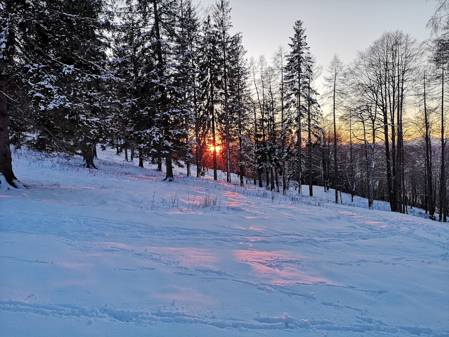 Parco del Valentino - Coltignone