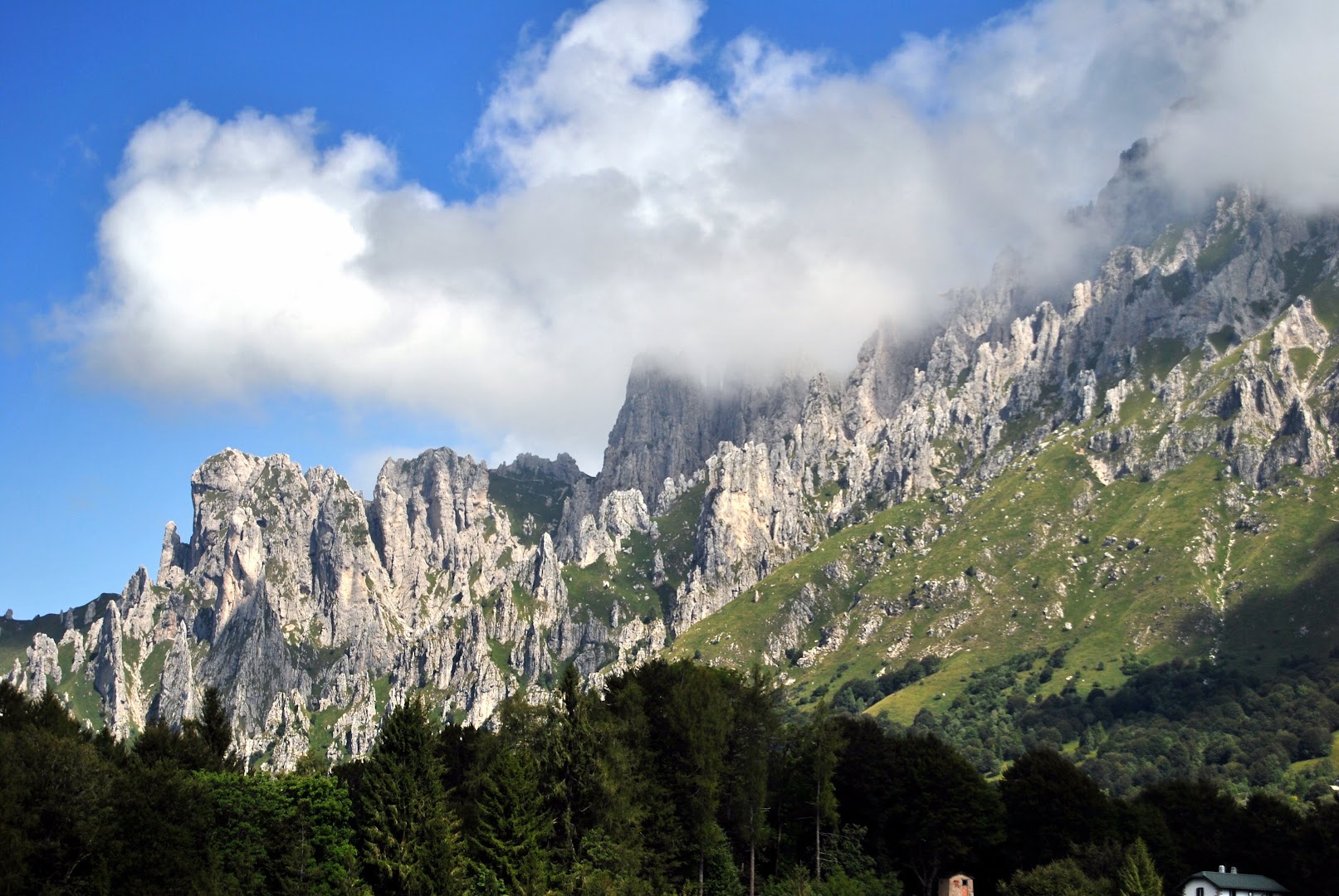 Parco del Valentino - Coltignone