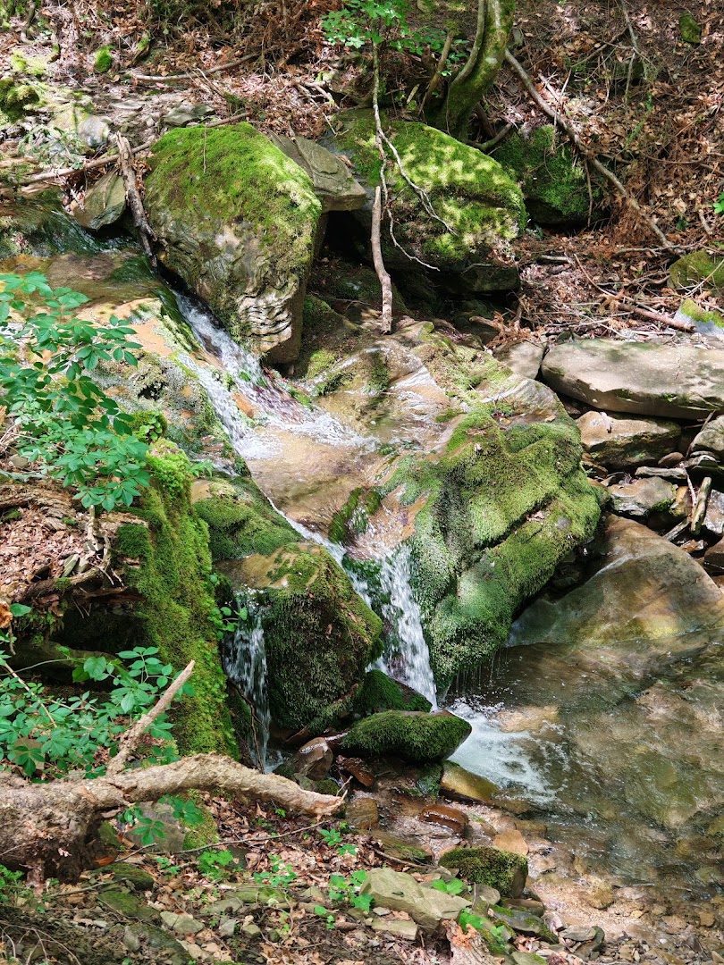 Parco della covetta