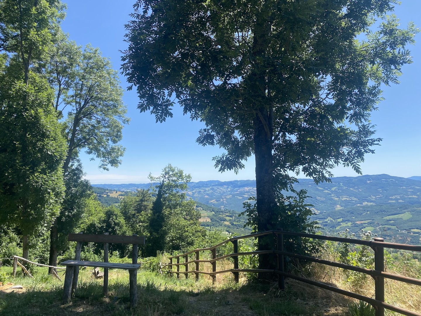 Parco della covetta
