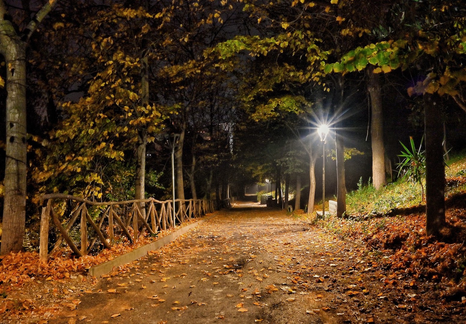 Parco della Mentuccia