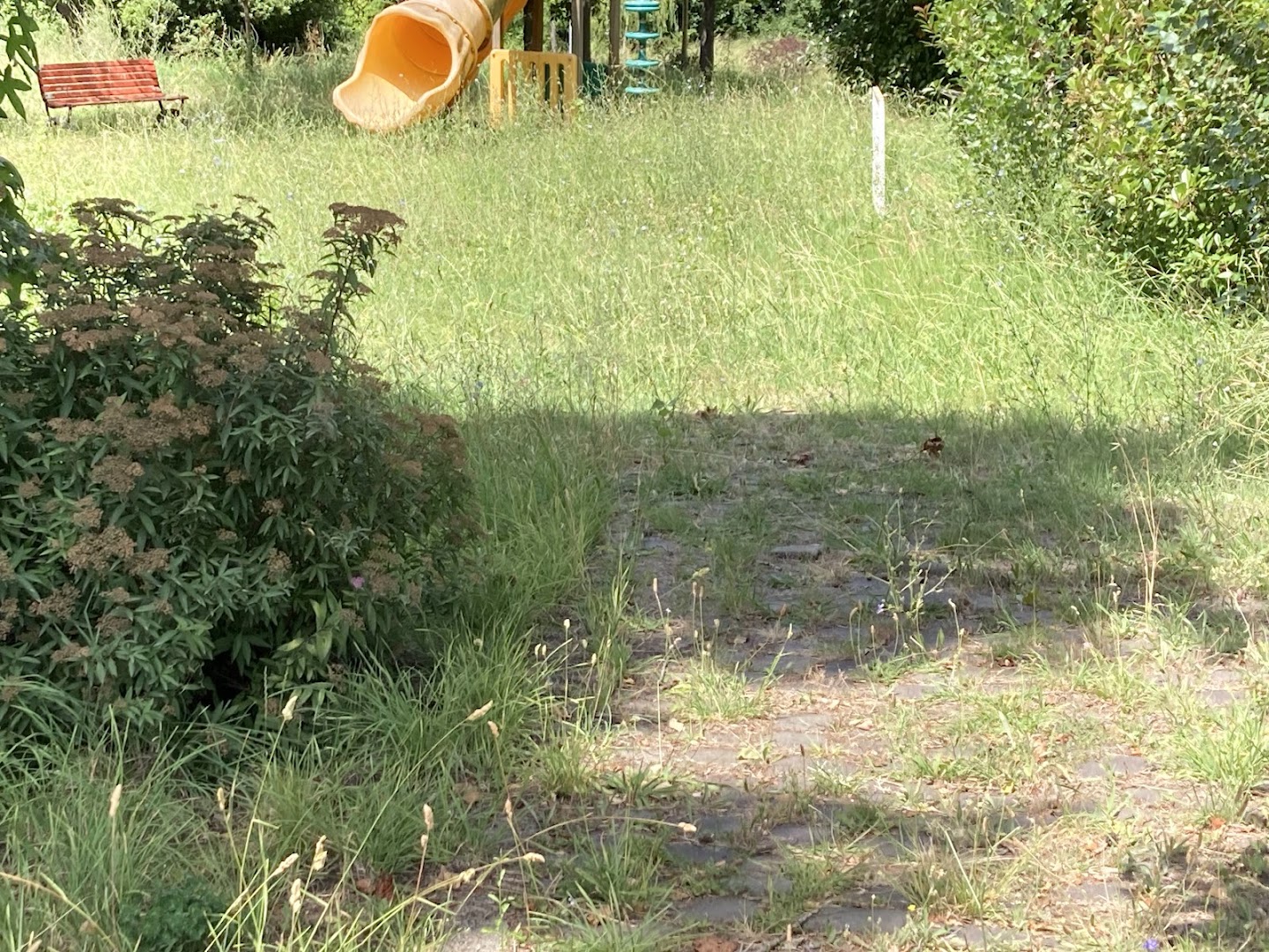 Parco della Pieve di San Venerio