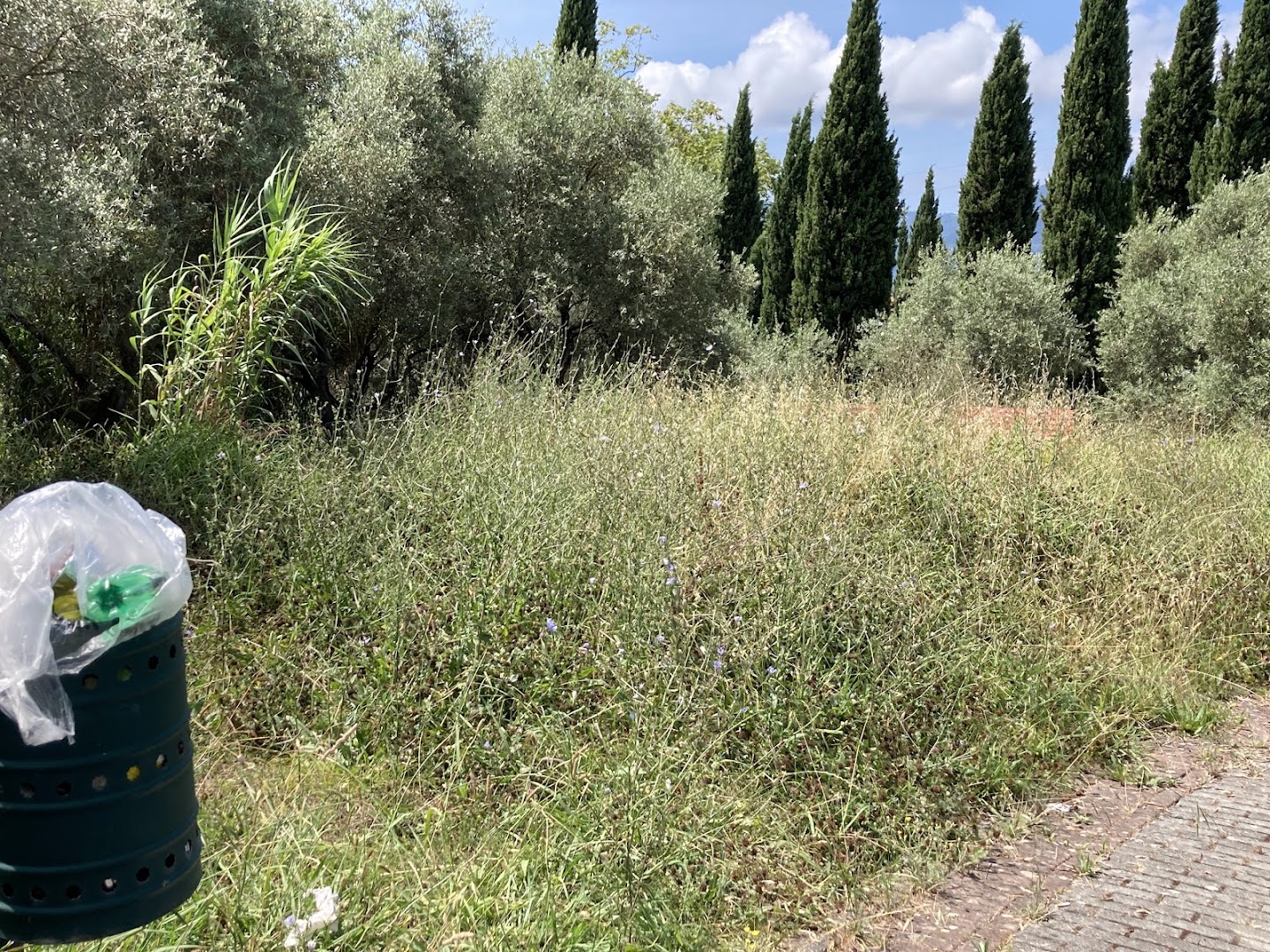 Parco della Pieve di San Venerio