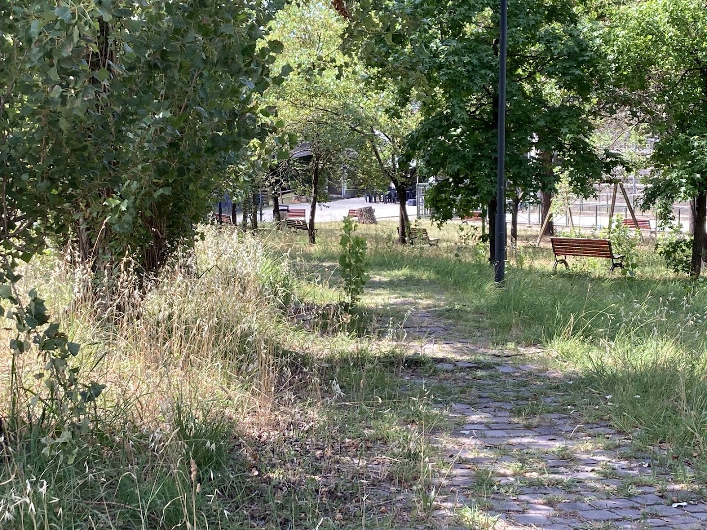 Parco della Pieve di San Venerio