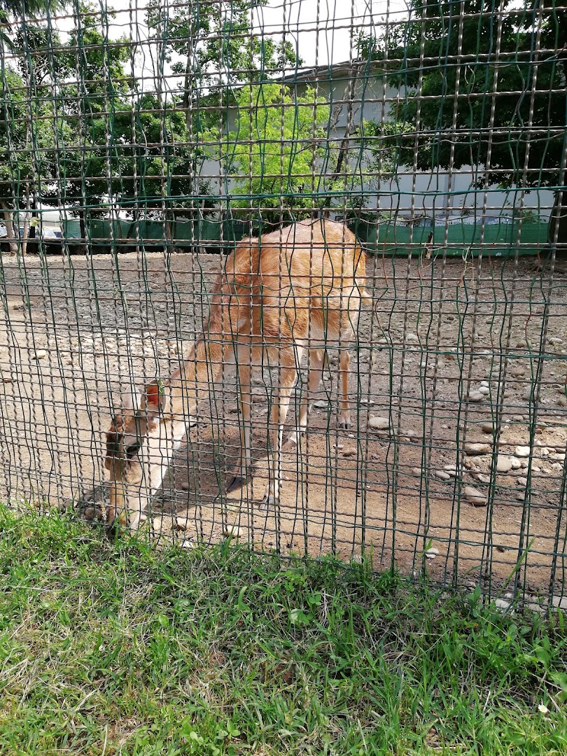 Parco della Poesia