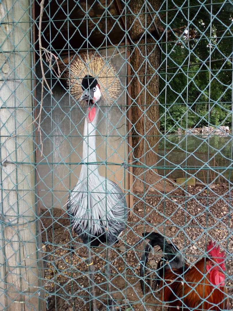 Parco della Poesia, Riese Pio X