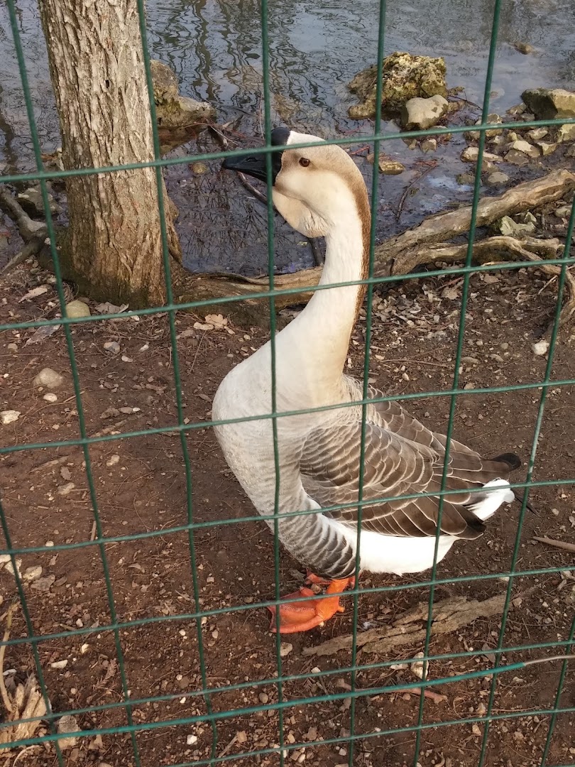 Parco della Poesia