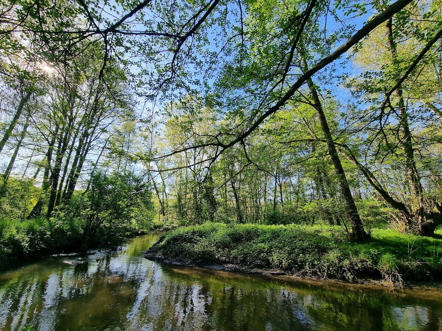 Parco della Vernavola, Pavia