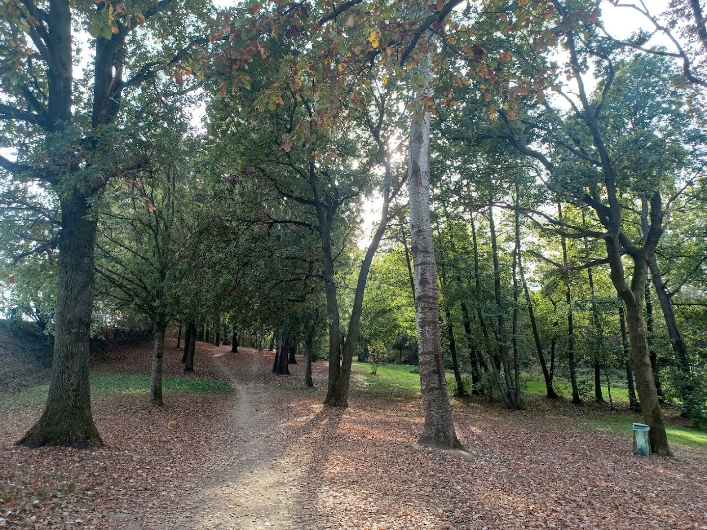 Parco della Vernavola