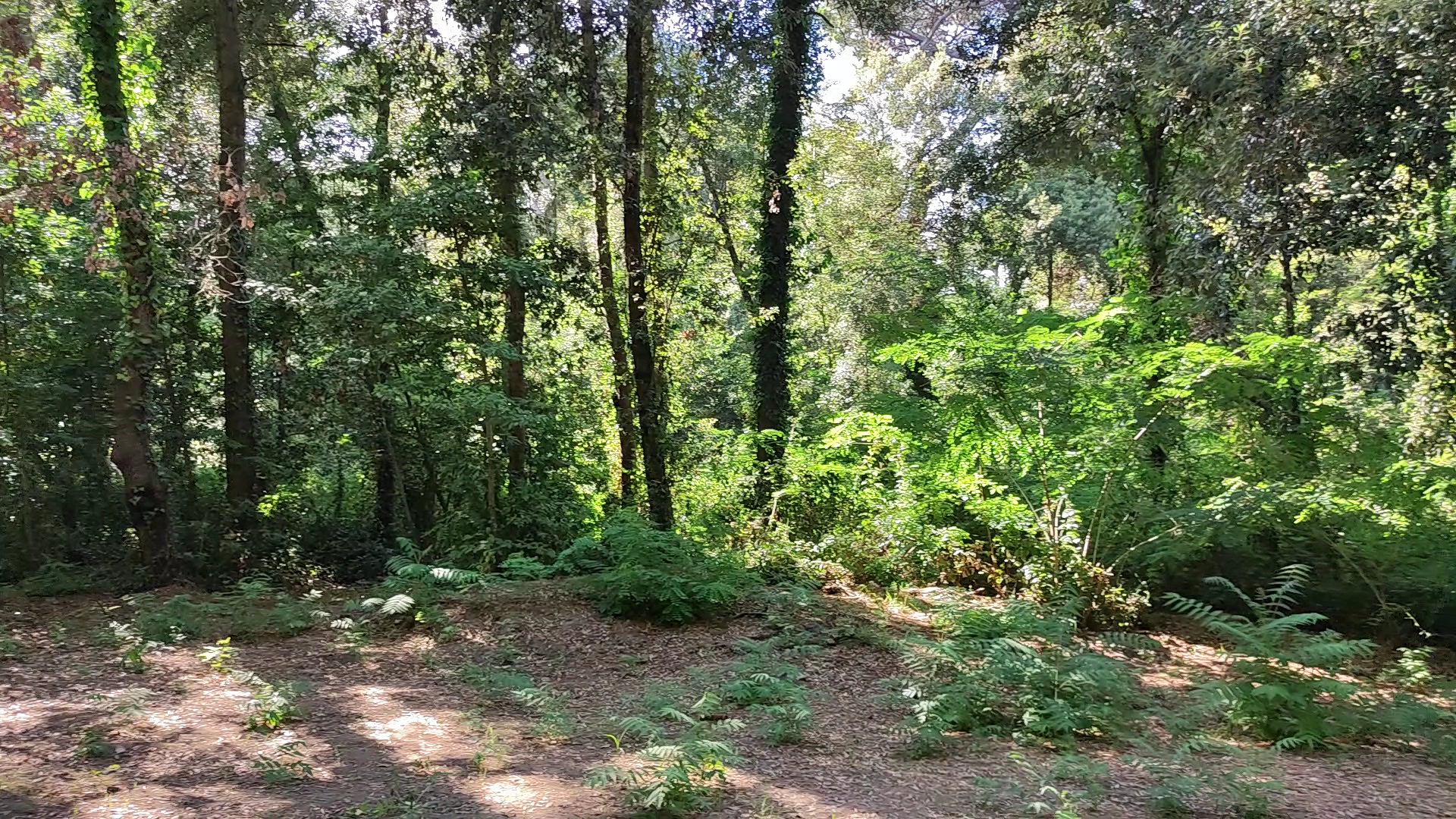 Parco della Versiliana
