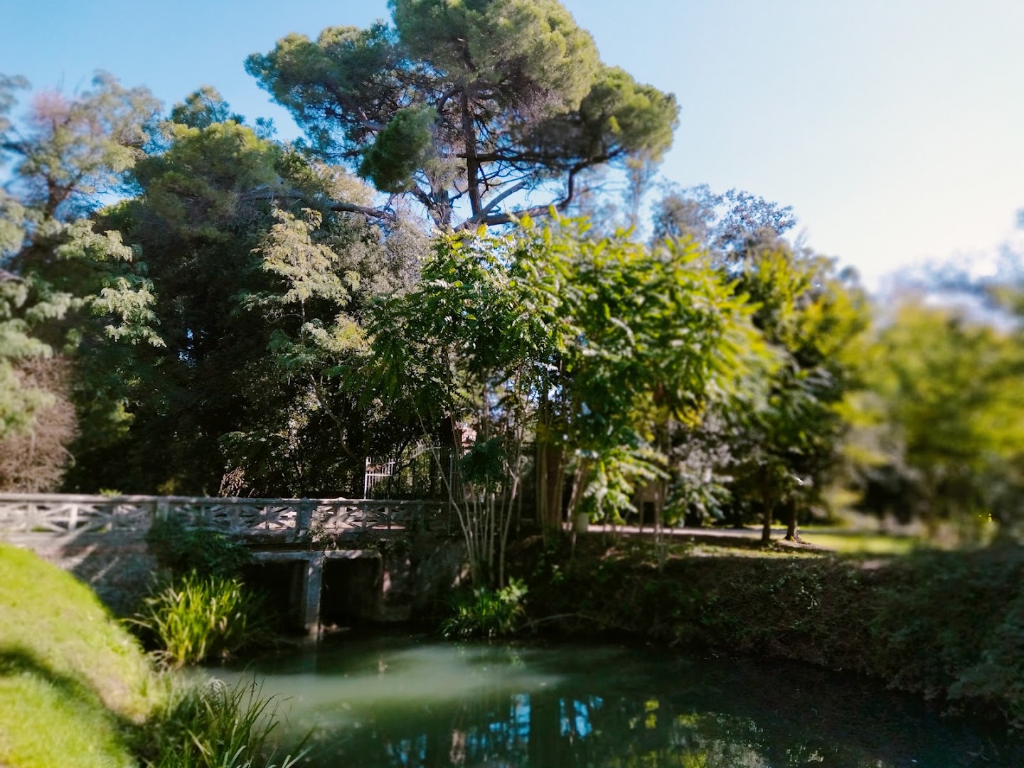 Parco della Versiliana