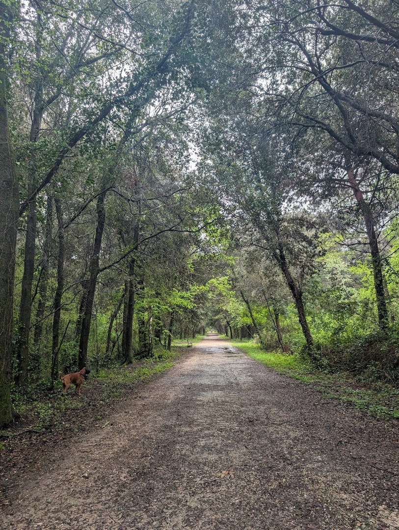 Parco della Versiliana