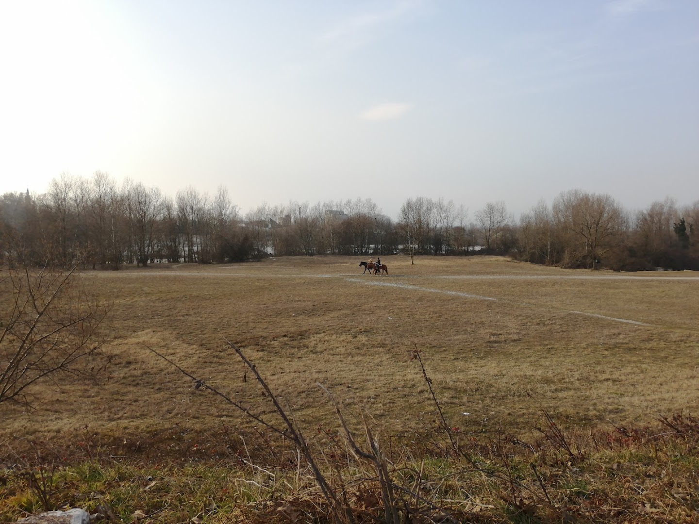 Parco dell'Amicizia